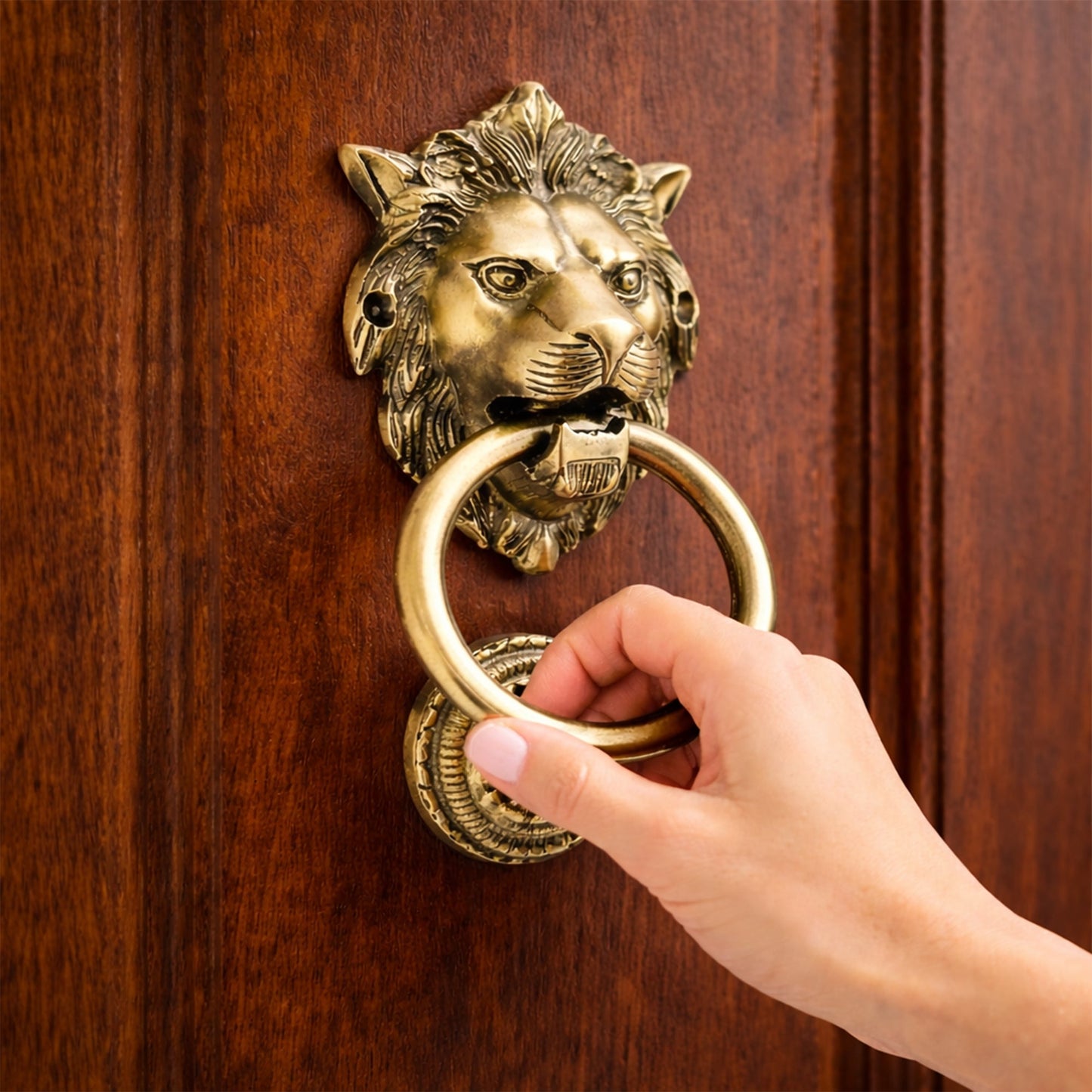 Lion Guardian Brass Door Knocker with Ring Handle for Main Door | The Indian Aura