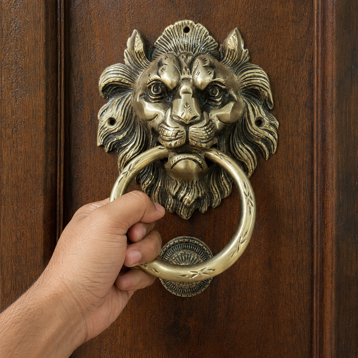 Handcrafted Imperial Crest Lion Brass Door Knocker – 1100 g  Antique Finish