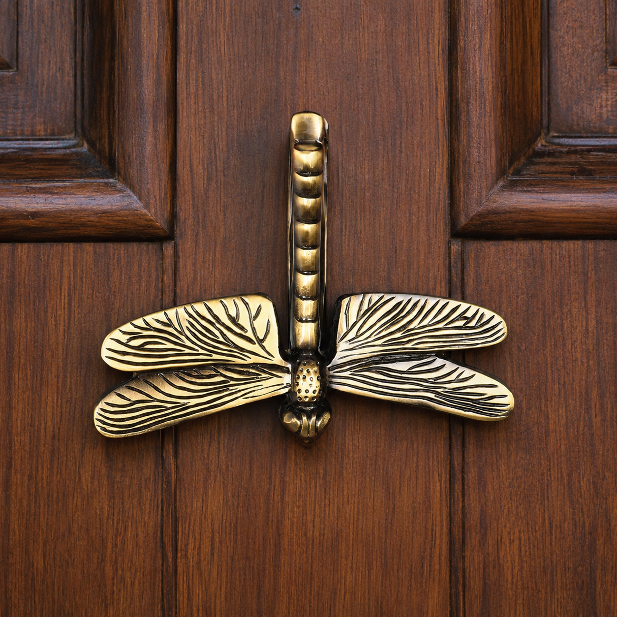 Vintage Dragonfly Brass Door Knocker for Main Door | The Indian Aura